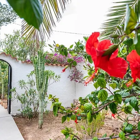 Dom wakacyjny Casa Clemence, Private Pool, By Theka Services